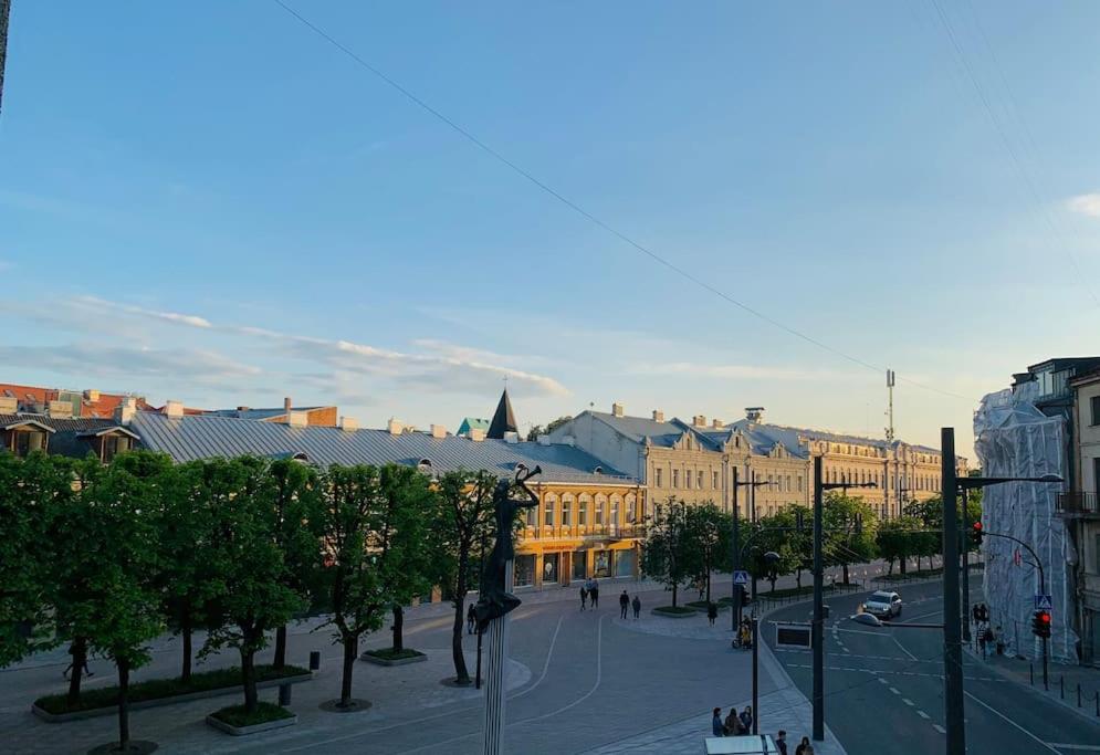 Three Bedroom With Two Terraces For 7People+Baby Kaunas Exterior photo
