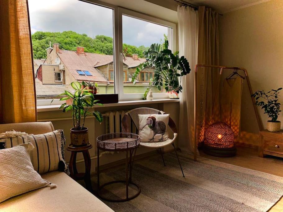 Three Bedroom With Two Terraces For 7People+Baby Kaunas Exterior photo