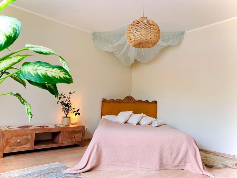 Three Bedroom With Two Terraces For 7People+Baby Kaunas Exterior photo