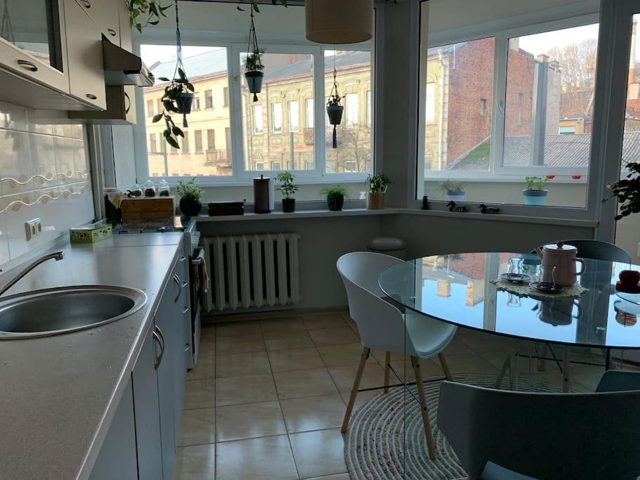 Three Bedroom With Two Terraces For 7People+Baby Kaunas Exterior photo